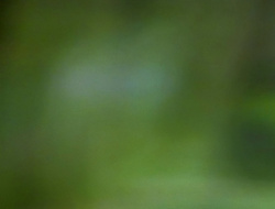 extant_XenaWarriorPrincess_1x14-AFistfulofDinars_01085