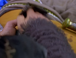 extant_XenaWarriorPrincess_1x14-AFistfulofDinars_01129