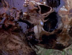 extant_XenaWarriorPrincess_1x14-AFistfulofDinars_01169