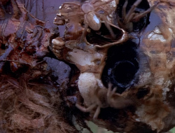 extant_XenaWarriorPrincess_1x14-AFistfulofDinars_01171