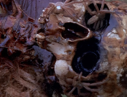 extant_XenaWarriorPrincess_1x14-AFistfulofDinars_01172