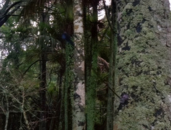 extant_XenaWarriorPrincess_1x14-AFistfulofDinars_01236