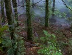 extant_XenaWarriorPrincess_1x14-AFistfulofDinars_01243