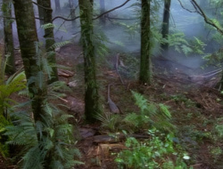 extant_XenaWarriorPrincess_1x14-AFistfulofDinars_01244