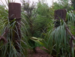 extant_XenaWarriorPrincess_1x14-AFistfulofDinars_01245