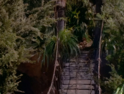 extant_XenaWarriorPrincess_1x14-AFistfulofDinars_01259