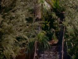 extant_XenaWarriorPrincess_1x14-AFistfulofDinars_01261