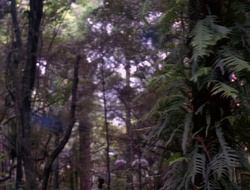 extant_XenaWarriorPrincess_1x14-AFistfulofDinars_01318