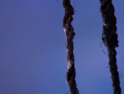extant_XenaWarriorPrincess_1x14-AFistfulofDinars_01374