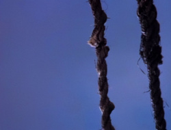 extant_XenaWarriorPrincess_1x14-AFistfulofDinars_01375
