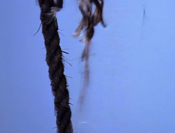 extant_XenaWarriorPrincess_1x14-AFistfulofDinars_01391