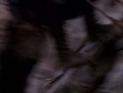 extant_XenaWarriorPrincess_1x14-AFistfulofDinars_01394
