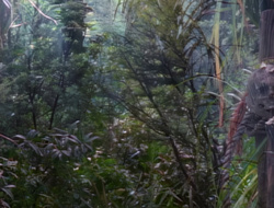 extant_XenaWarriorPrincess_1x14-AFistfulofDinars_01523