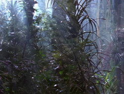 extant_XenaWarriorPrincess_1x14-AFistfulofDinars_01524