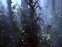 extant_XenaWarriorPrincess_1x14-AFistfulofDinars_01525