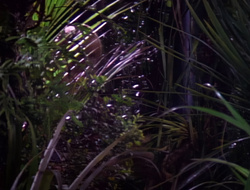 extant_XenaWarriorPrincess_1x14-AFistfulofDinars_01717