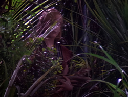 extant_XenaWarriorPrincess_1x14-AFistfulofDinars_01719