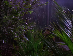 extant_XenaWarriorPrincess_1x14-AFistfulofDinars_01725
