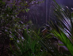 extant_XenaWarriorPrincess_1x14-AFistfulofDinars_01726
