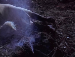 extant_XenaWarriorPrincess_1x14-AFistfulofDinars_01957