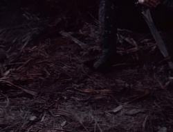 extant_XenaWarriorPrincess_1x14-AFistfulofDinars_01962
