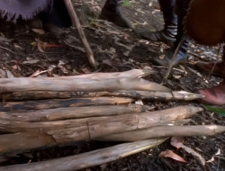 extant_XenaWarriorPrincess_1x14-AFistfulofDinars_02133