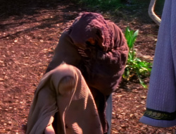 extant_XenaWarriorPrincess_1x14-AFistfulofDinars_02197