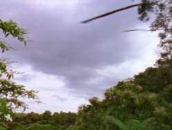 extant_XenaWarriorPrincess_1x14-AFistfulofDinars_02342