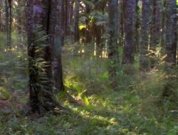 extant_XenaWarriorPrincess_1x14-AFistfulofDinars_02469