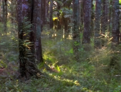 extant_XenaWarriorPrincess_1x14-AFistfulofDinars_02470