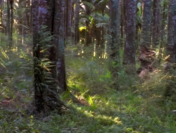 extant_XenaWarriorPrincess_1x14-AFistfulofDinars_02471
