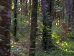 extant_XenaWarriorPrincess_1x14-AFistfulofDinars_02473