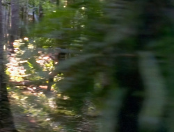 extant_XenaWarriorPrincess_1x14-AFistfulofDinars_02474
