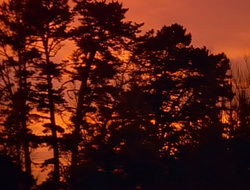 extant_XenaWarriorPrincess_1x14-AFistfulofDinars_02522