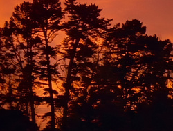 extant_XenaWarriorPrincess_1x14-AFistfulofDinars_02523