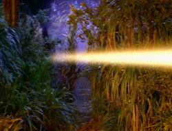 extant_XenaWarriorPrincess_1x14-AFistfulofDinars_02732