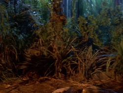 extant_XenaWarriorPrincess_1x14-AFistfulofDinars_02737