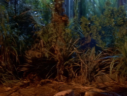 extant_XenaWarriorPrincess_1x14-AFistfulofDinars_02738