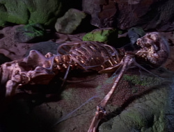 extant_XenaWarriorPrincess_1x14-AFistfulofDinars_03128