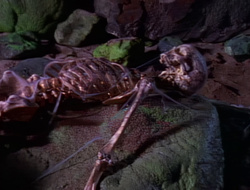 extant_XenaWarriorPrincess_1x14-AFistfulofDinars_03129