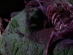 extant_XenaWarriorPrincess_1x14-AFistfulofDinars_03163