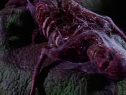 extant_XenaWarriorPrincess_1x14-AFistfulofDinars_03165