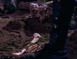 extant_XenaWarriorPrincess_1x14-AFistfulofDinars_03181