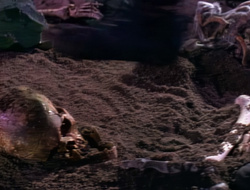 extant_XenaWarriorPrincess_1x14-AFistfulofDinars_03183