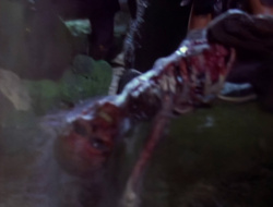 extant_XenaWarriorPrincess_1x14-AFistfulofDinars_03212