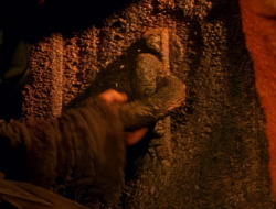 extant_XenaWarriorPrincess_1x14-AFistfulofDinars_03380