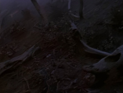 extant_XenaWarriorPrincess_1x14-AFistfulofDinars_03703