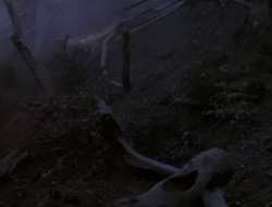 extant_XenaWarriorPrincess_1x14-AFistfulofDinars_03704