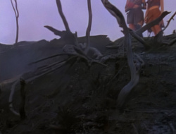 extant_XenaWarriorPrincess_1x14-AFistfulofDinars_03706