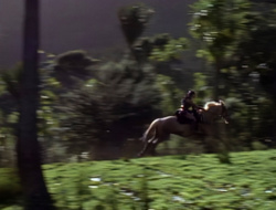extant_XenaWarriorPrincess_1x15-WarriorPrincess_00001